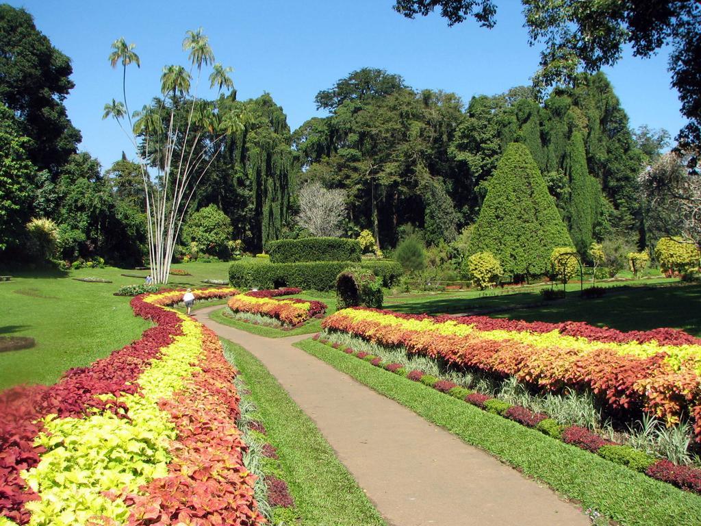 Kandy View Villa Luaran gambar